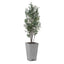 Uttermost Accessories Sonora Olive Tree In Planter House of Isabella UK