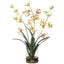 Uttermost Accessories Spider Orchid In Glass Vase House of Isabella UK