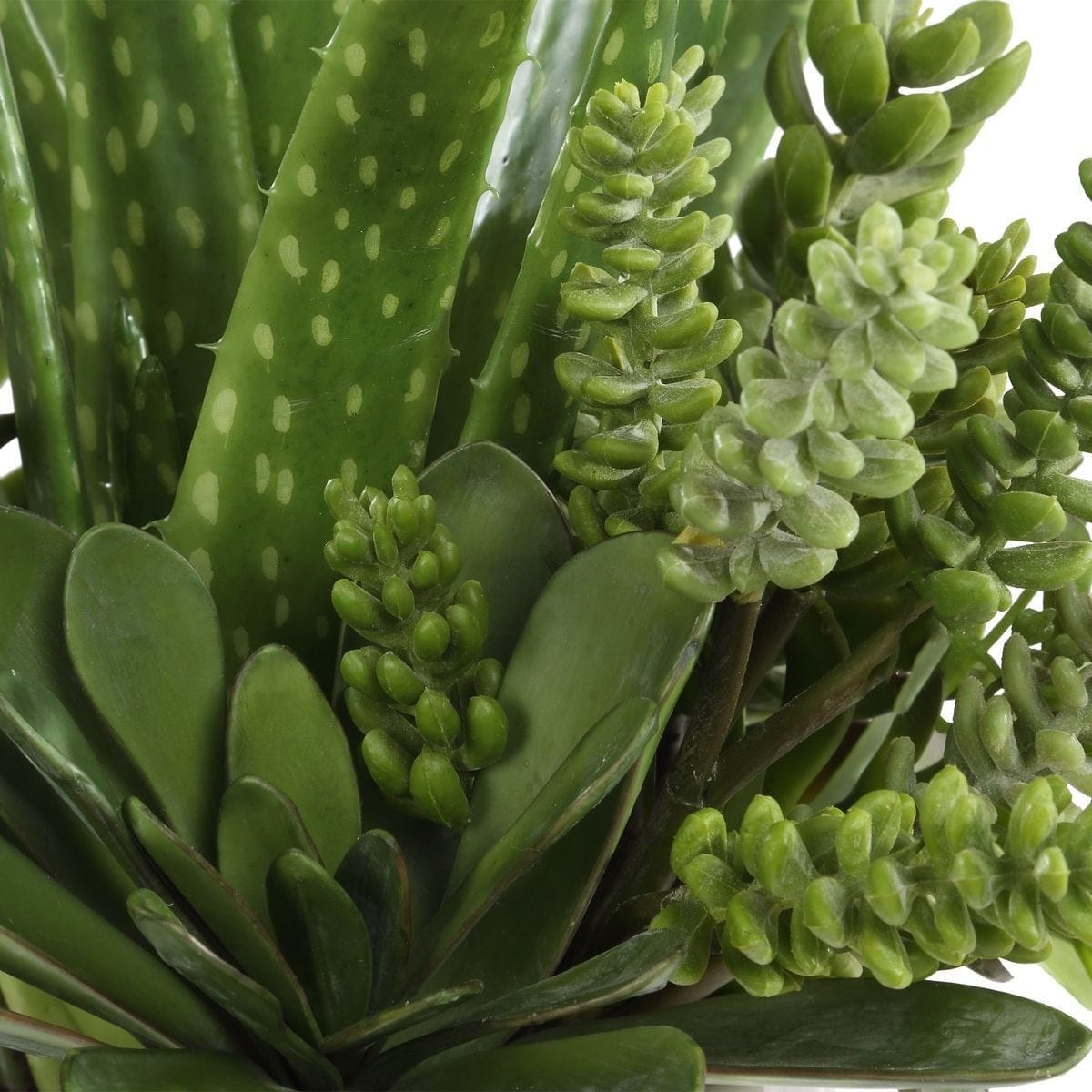 Uttermost Accessories Sundown Succulent Accent Planter House of Isabella UK