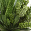Uttermost Accessories Sundown Succulent Accent Planter House of Isabella UK