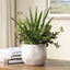 Uttermost Accessories Sundown Succulent Accent Planter House of Isabella UK