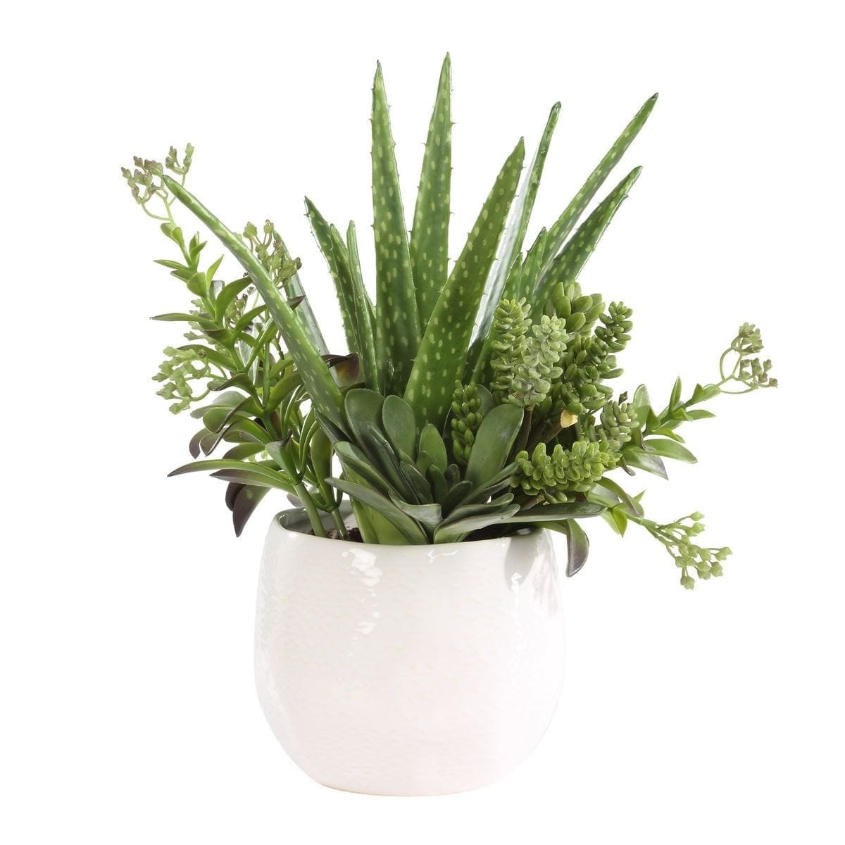 Uttermost Accessories Sundown Succulent Accent Planter House of Isabella UK