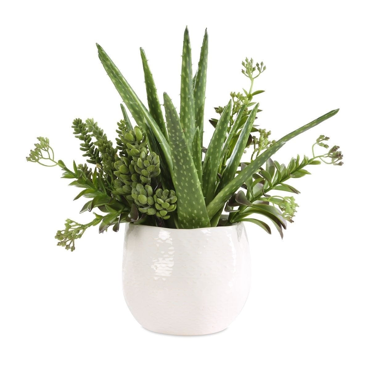 Uttermost Accessories Sundown Succulent Accent Planter House of Isabella UK