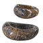 Uttermost Accessories Swaddle Bowls in Michelangelo Marble Set of 2 House of Isabella UK