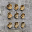 Uttermost Accessories Tamarine Wood Wall Art - Set of 3 House of Isabella UK