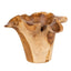 Uttermost Accessories Teak Flow Natural Outdoor Bowl House of Isabella UK