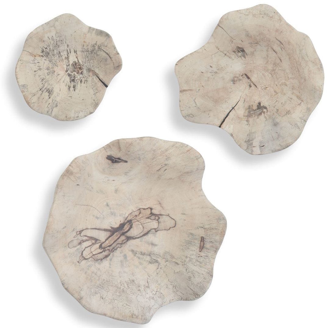Uttermost Accessories Teo Bleached Wood Wall Decor - Set of 3 House of Isabella UK