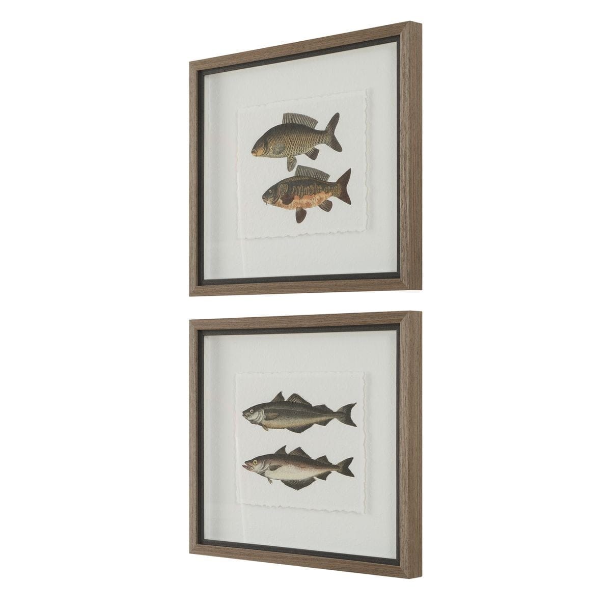 Uttermost Accessories The Catch Framed Fish Prints Set of 2 House of Isabella UK