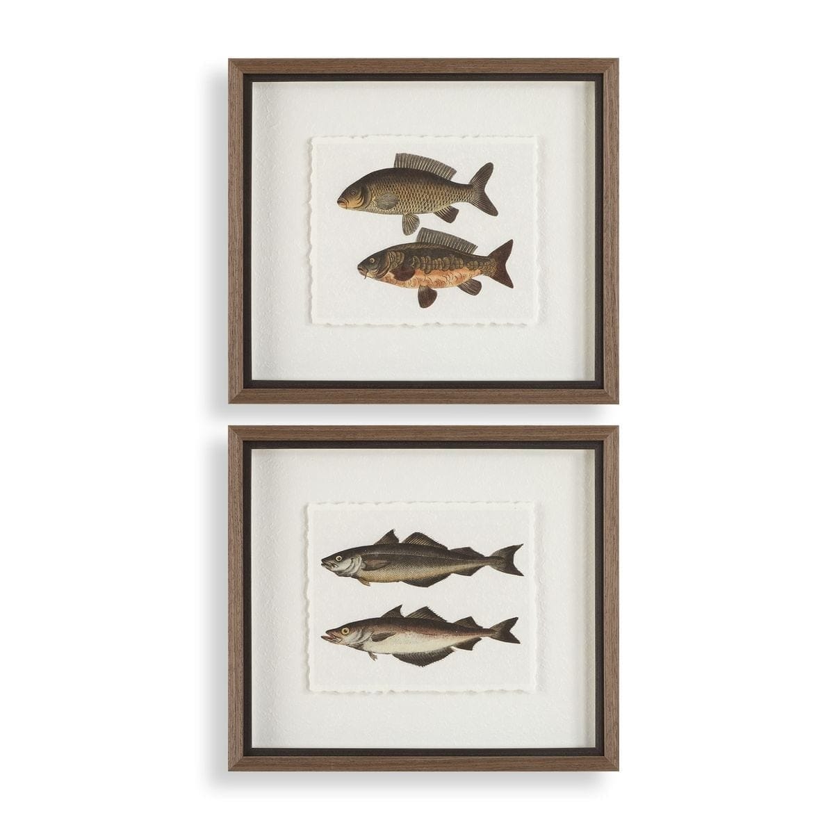 Uttermost Accessories The Catch Framed Fish Prints Set of 2 House of Isabella UK