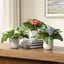 Uttermost Accessories Trilogy Primrose Accents In Vases Set of 3 House of Isabella UK