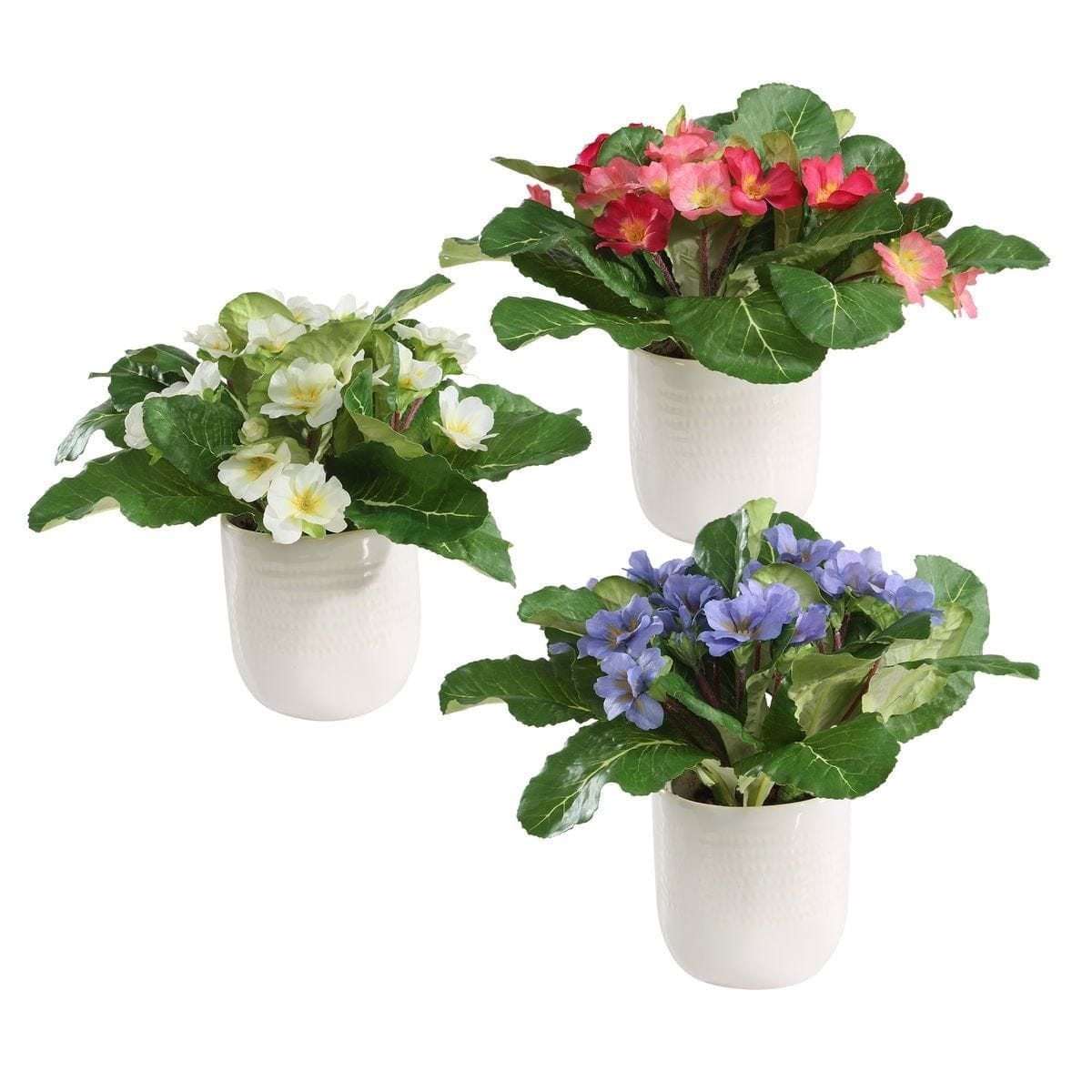 Uttermost Accessories Trilogy Primrose Accents In Vases Set of 3 House of Isabella UK