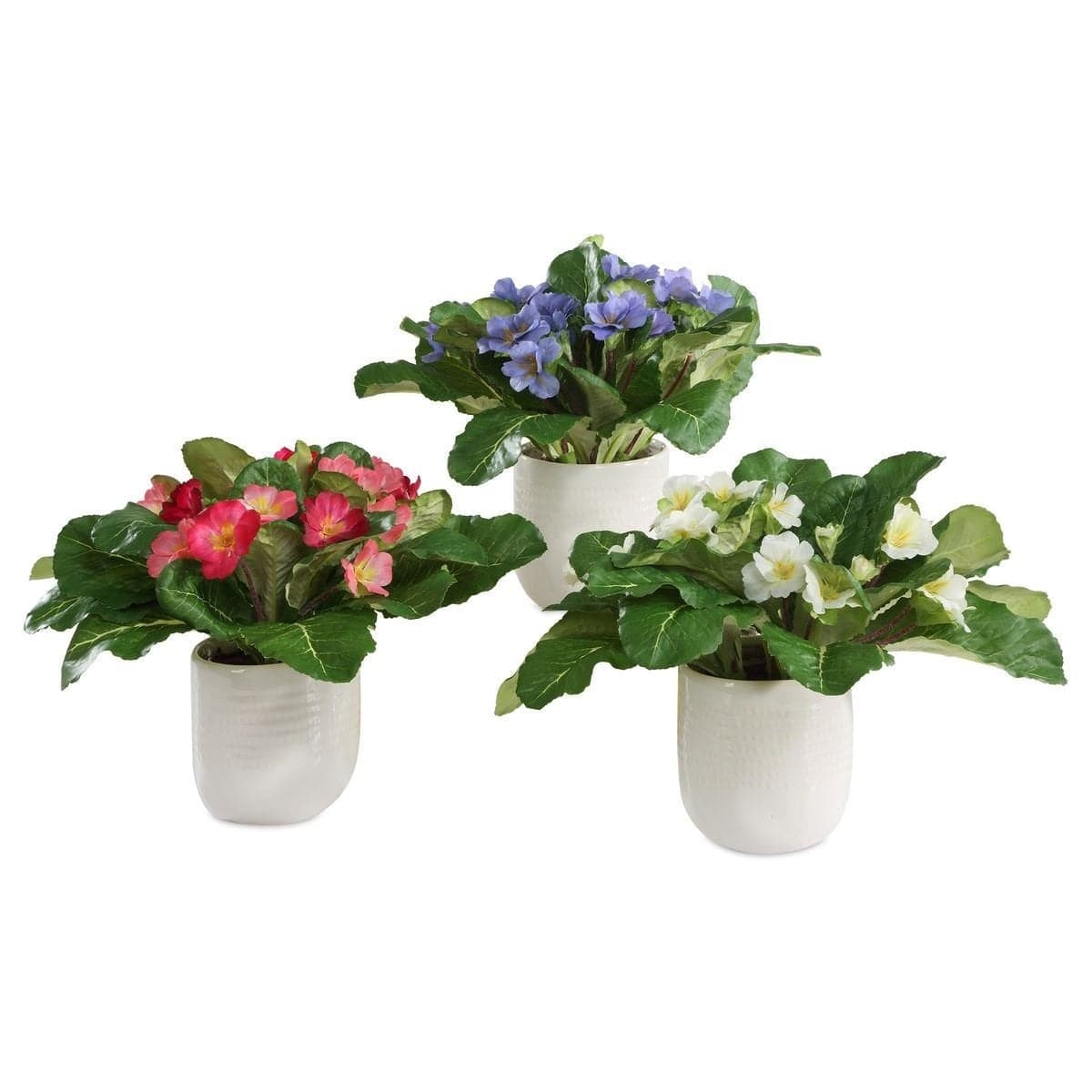 Uttermost Accessories Trilogy Primrose Accents In Vases Set of 3 House of Isabella UK