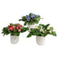 Uttermost Accessories Trilogy Primrose Accents In Vases Set of 3 House of Isabella UK