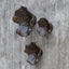 Uttermost Accessories Two Wood Wall Décor In Mocha, Set of 3 House of Isabella UK