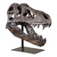Uttermost Accessories Tyrannosaurus Sculpture House of Isabella UK
