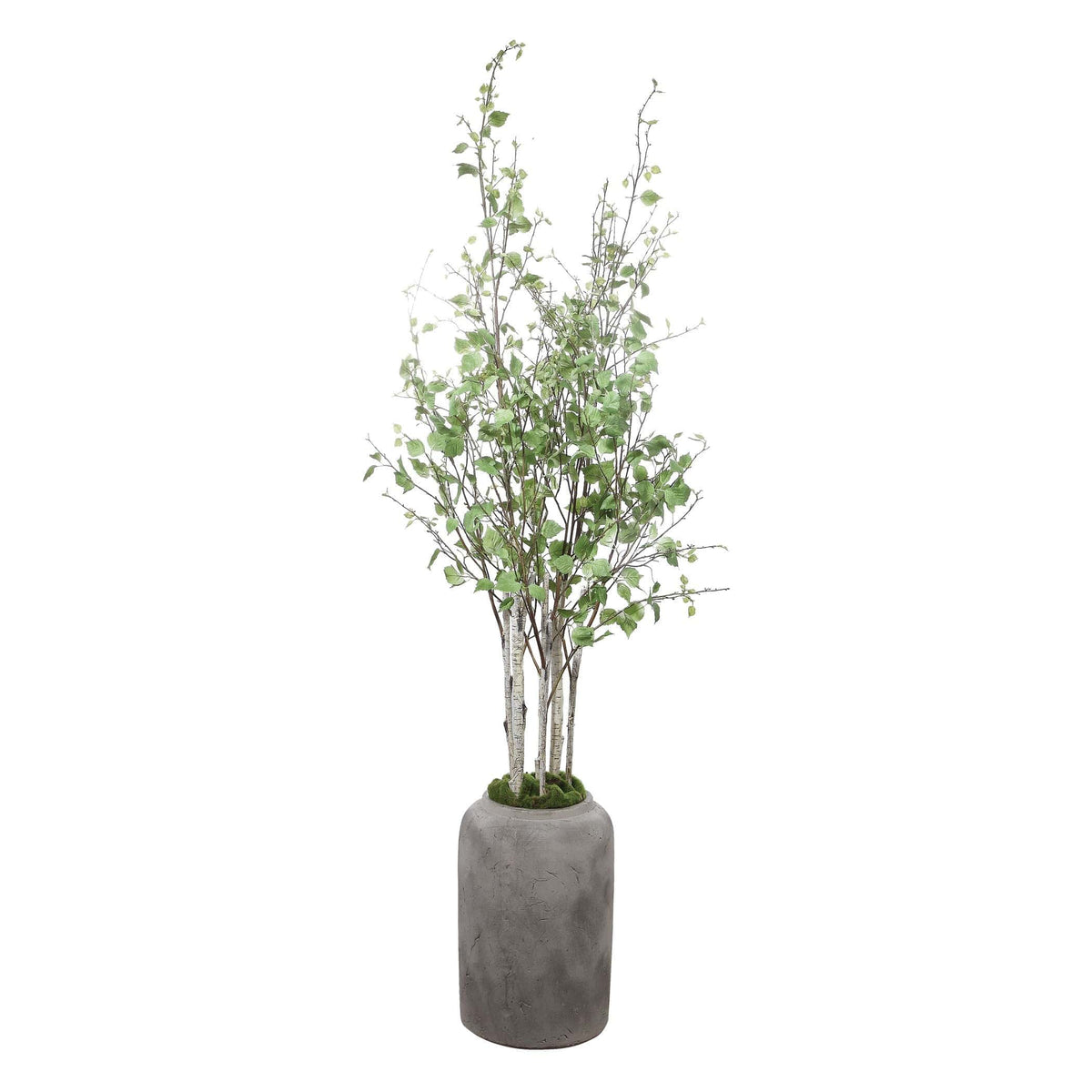 Uttermost Aldis Potted River Birch.