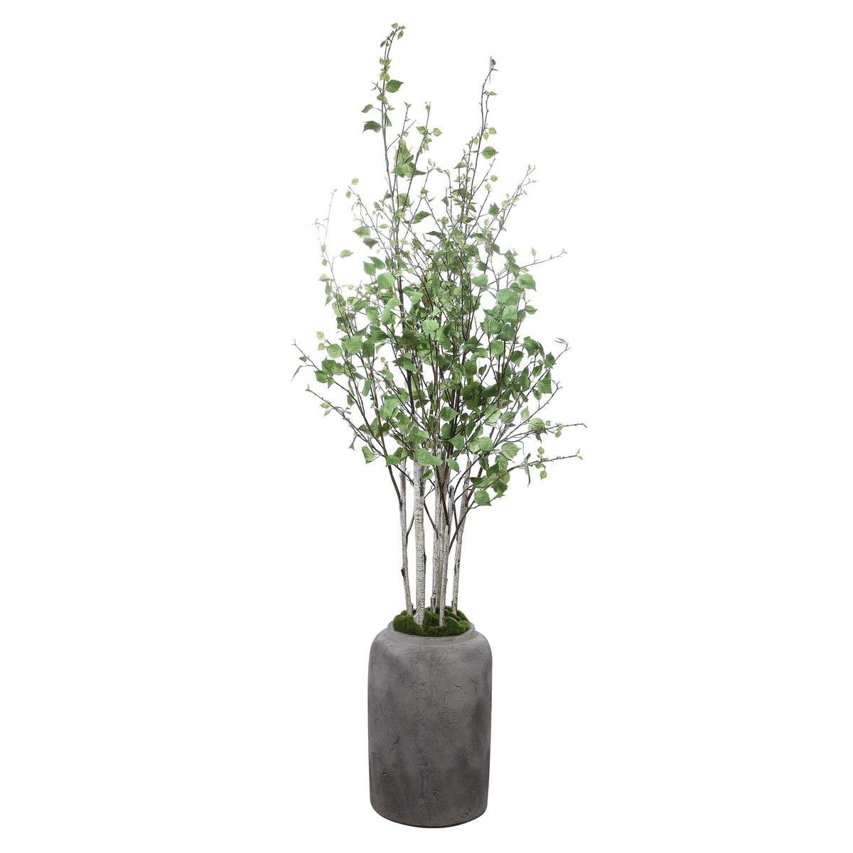 Uttermost Aldis Potted River Birch.
