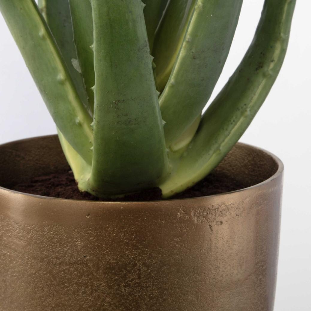Uttermost Arabia Aloe Planter.