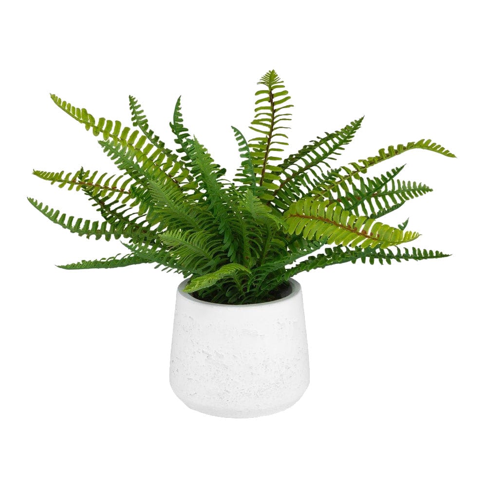 Uttermost Boston Fern Accent.