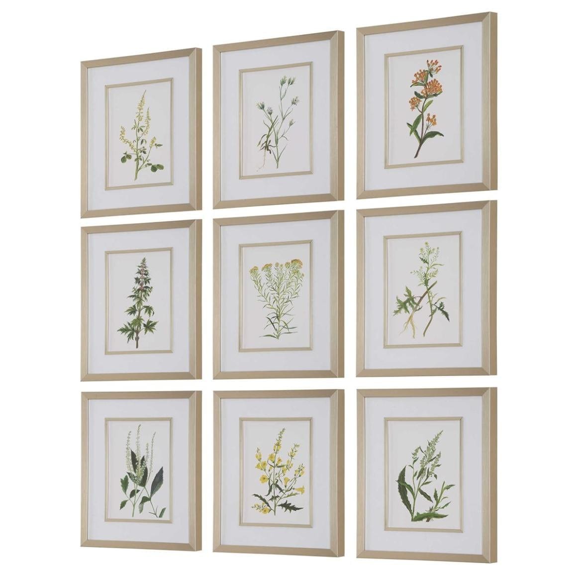 Uttermost Botanical Flowers Framed Prints, Set of 9.