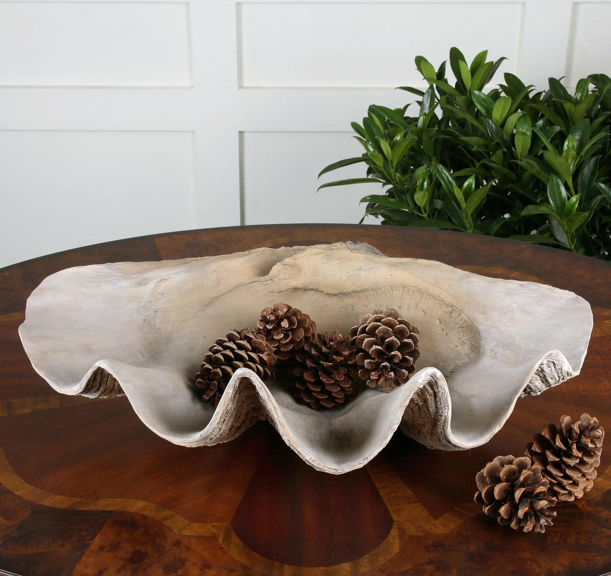 Clam Shell Bowl.