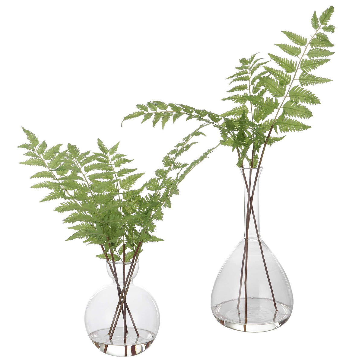 Uttermost Country Ferns, S/2.