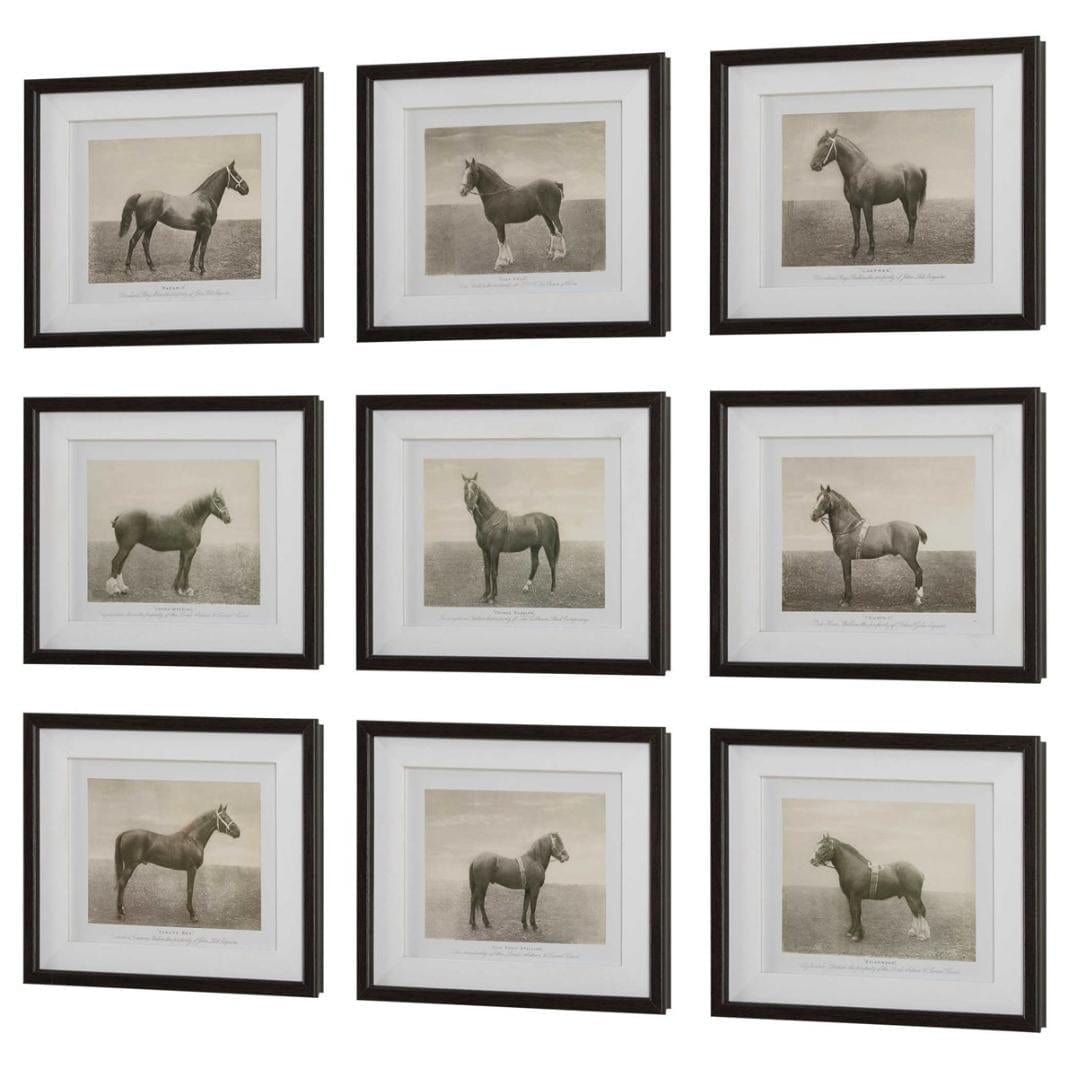 Uttermost Equine Dynasty Framed Prints, Set of 9.