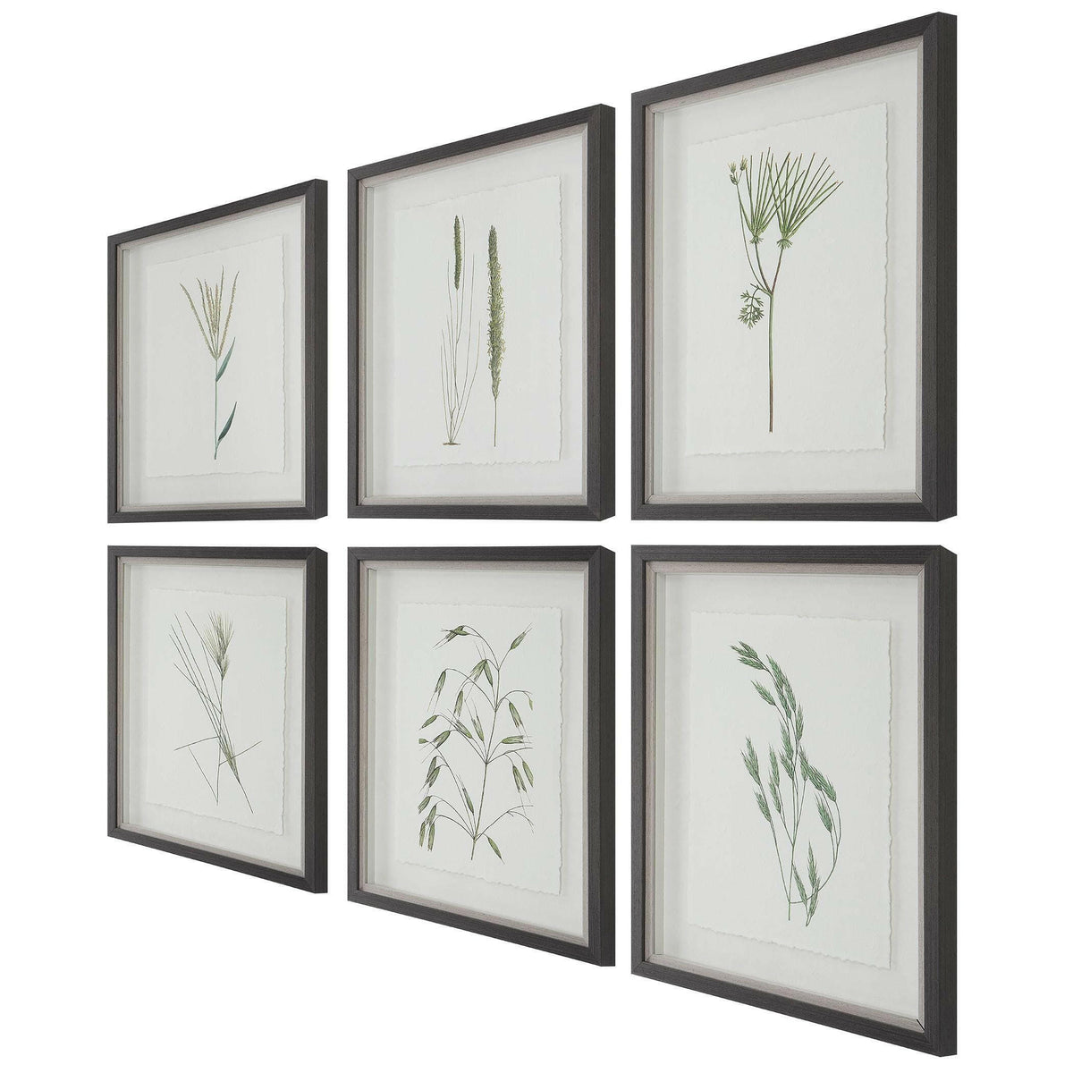 Forest Finds Framed Prints, S/6.