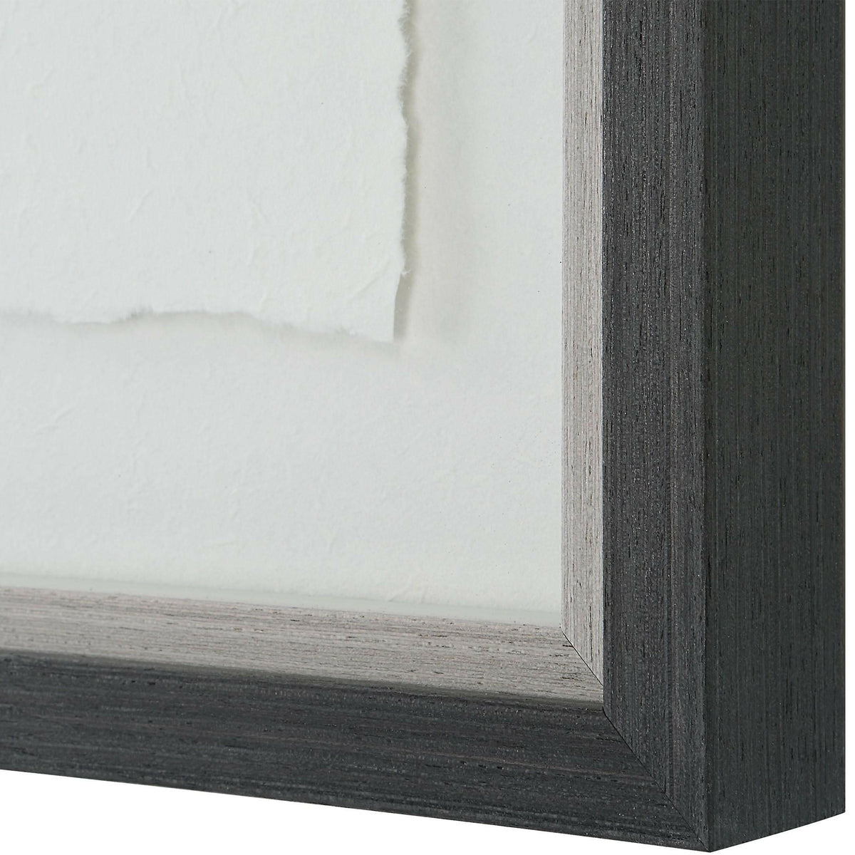 Forest Finds Framed Prints, S/6.