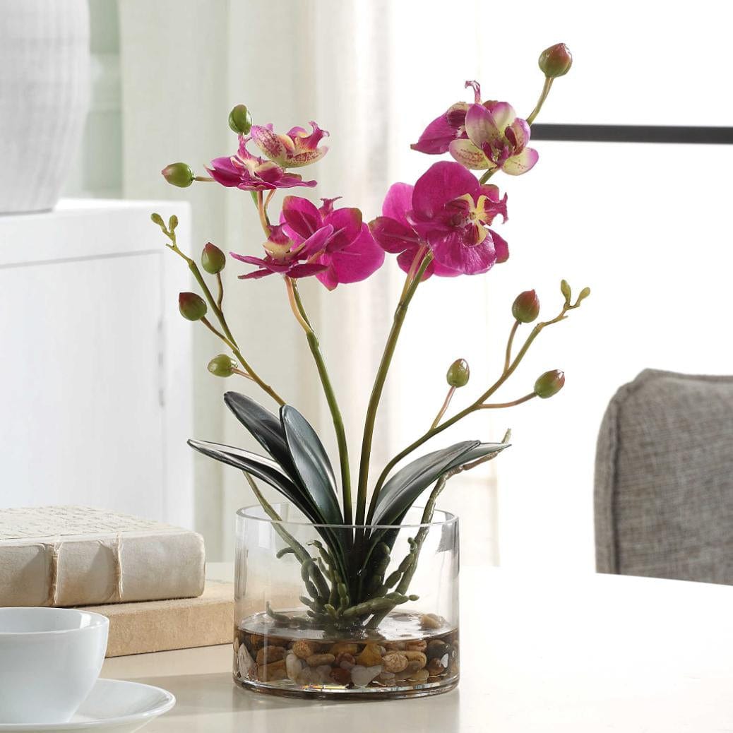 Uttermost Glory Fuchsia Orchid.