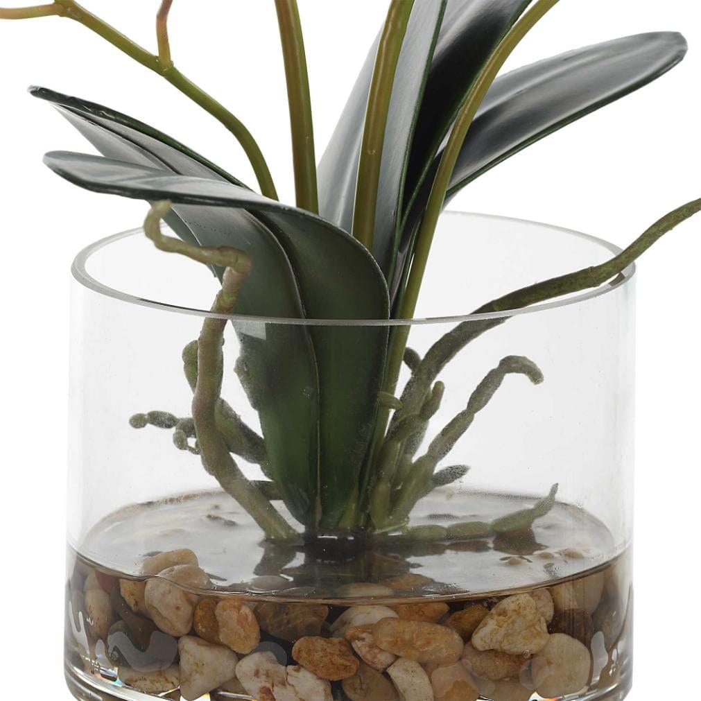 Uttermost Glory Fuchsia Orchid.