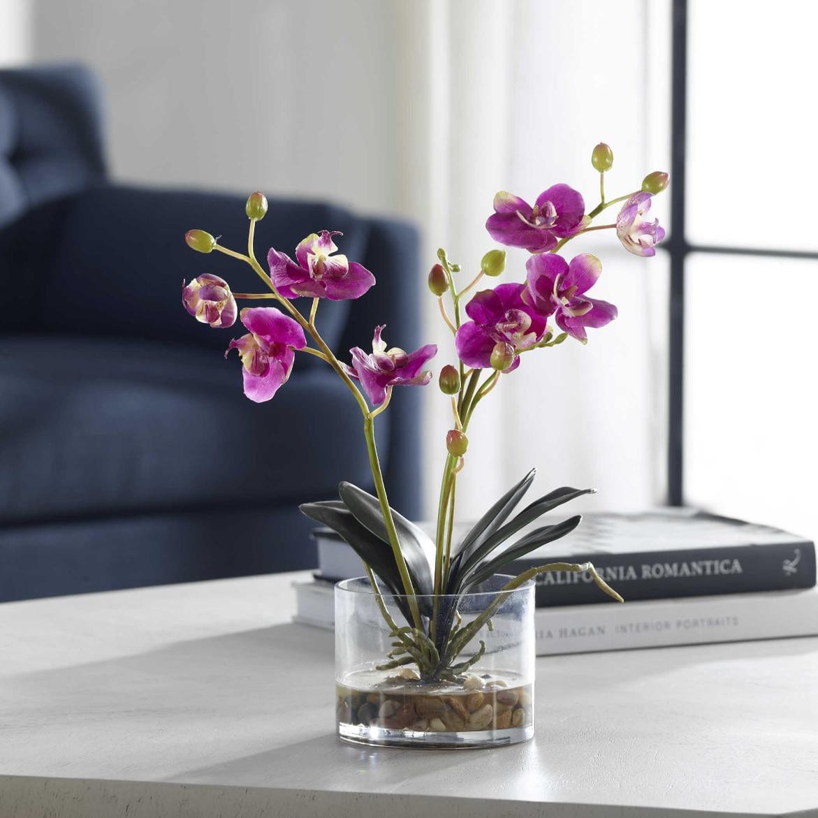 Uttermost Glory Fuchsia Orchid.