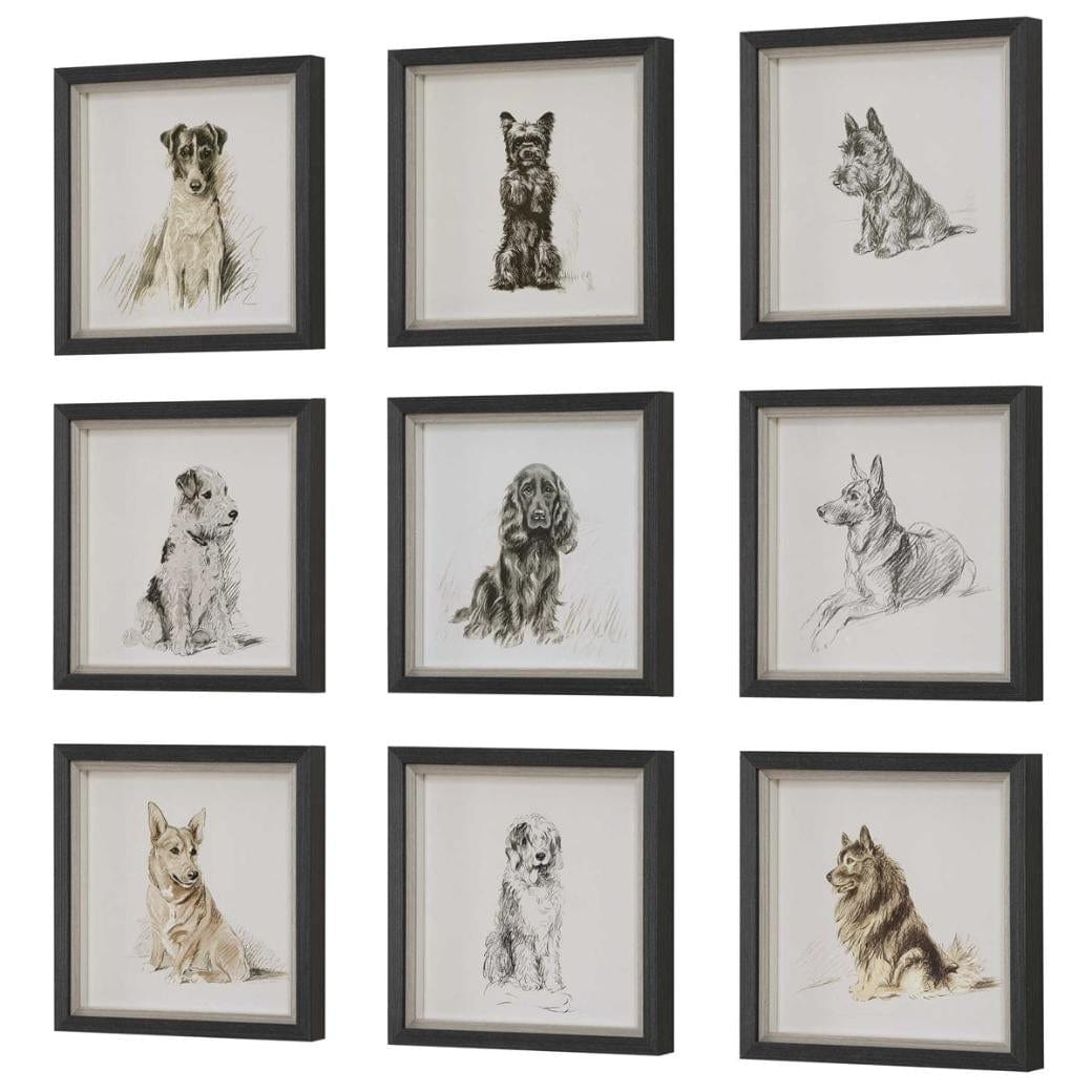 Uttermost Loyal Companion Framed Dog Prints, Set of 9.