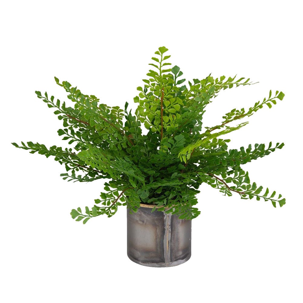 Uttermost Maidenhair Fern Accent.