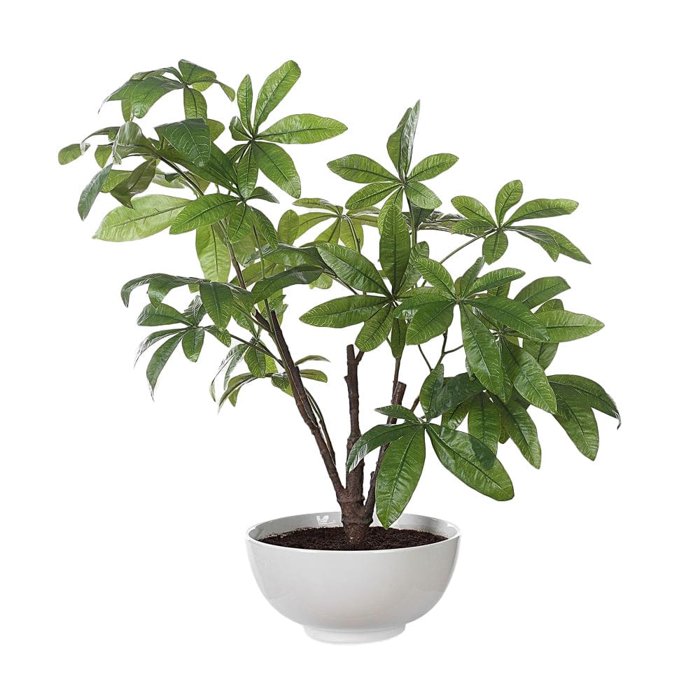 Uttermost Pachira Money Tree.