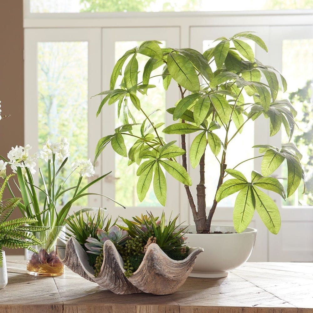 Uttermost Pachira Money Tree.