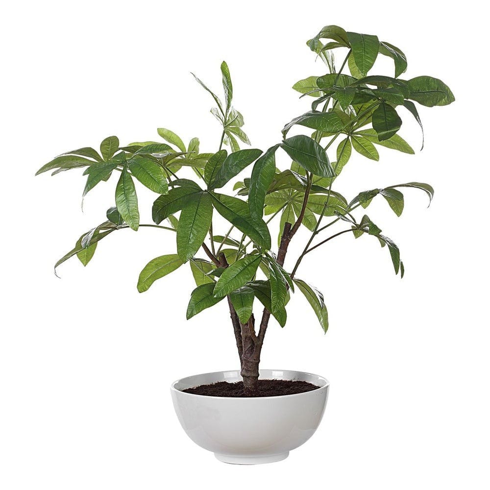 Uttermost Pachira Money Tree.