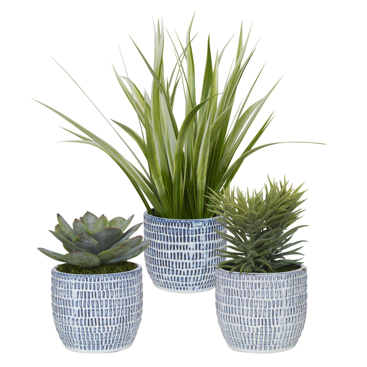 Puebla Greenery in Blue & White Pots, S/3.
