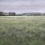 Uttermost Quiet Meadows Framed Prints, Set of 4.