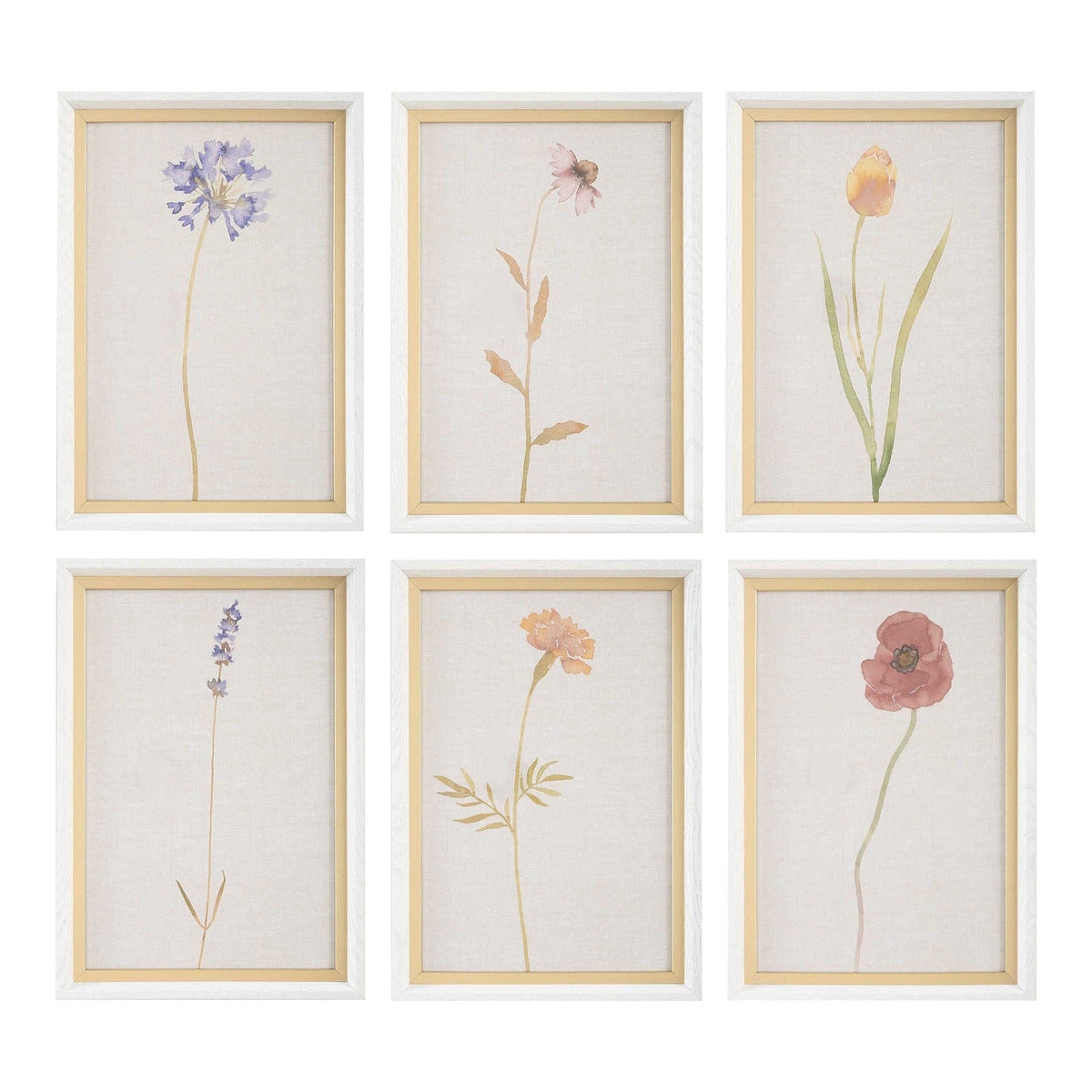 Uttermost Wild Flourish Framed Prints Set of 6.