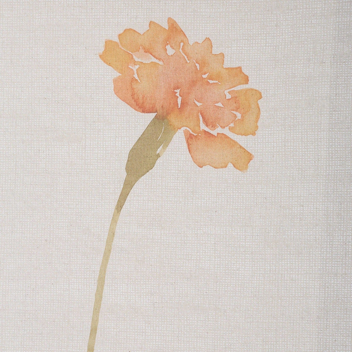 Uttermost Wild Flourish Framed Prints Set of 6.