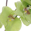 Uttermost Accessories Valdive Orchid House of Isabella UK