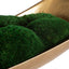 Uttermost Accessories Venice Moss Centrepiece House of Isabella UK