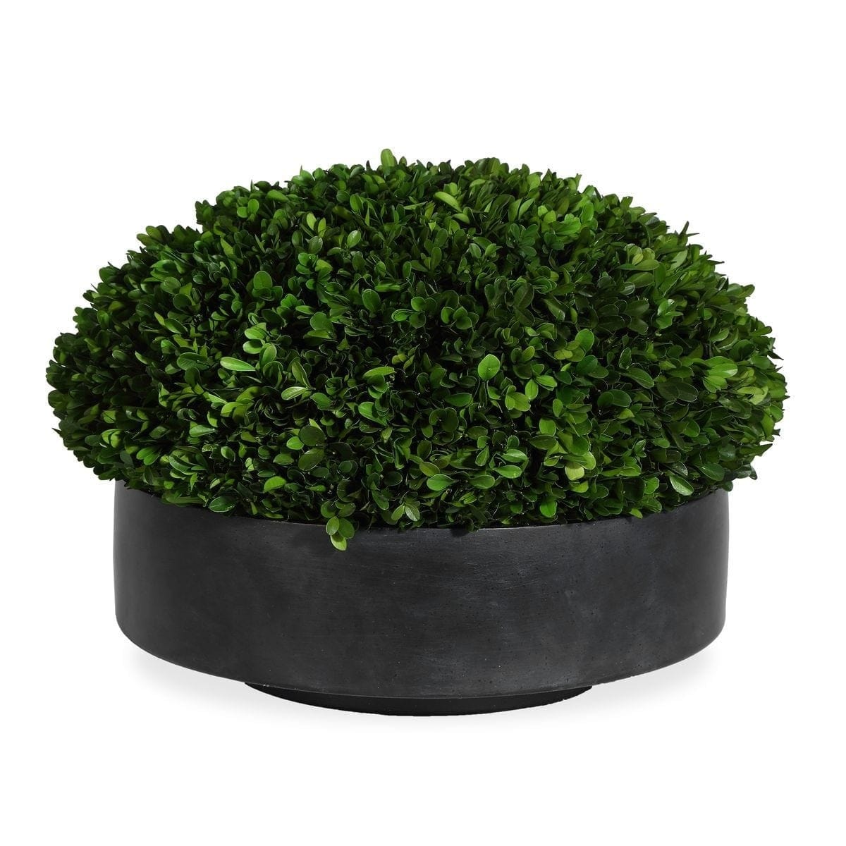 Uttermost Accessories Verdana Boxwood Centerpiece In Bowl House of Isabella UK