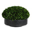 Uttermost Accessories Verdana Boxwood Centerpiece In Bowl House of Isabella UK