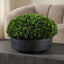 Uttermost Accessories Verdana Boxwood Centerpiece In Bowl House of Isabella UK