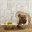 Uttermost Accessories Verdure Bowl House of Isabella UK