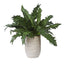 Uttermost Accessories Verdure Fern House of Isabella UK