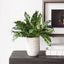 Uttermost Accessories Verdure Fern House of Isabella UK