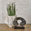Uttermost Accessories Water Lily Vase House of Isabella UK